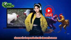 Hướng dẫn OK99 - OK9 - DRAGON69