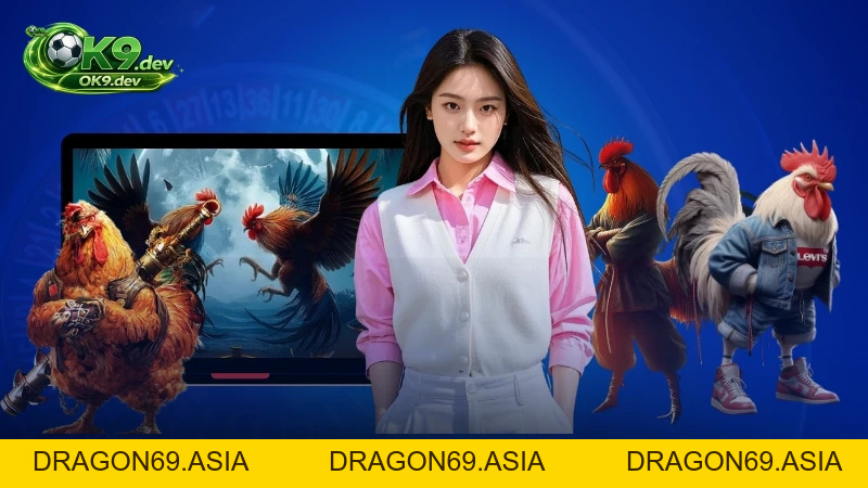 Đá Gà Thomo - Bí Quyết Cược Đá Gà Từ Cao Thủ Hàng Đầu - DRAGON69