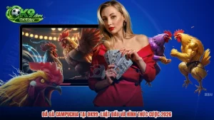 OK9 ❤️ Nhà Cái Cá Cược Uy Tín #1 | Đăng Ký Nhận Thưởng 100% - DRAGON69