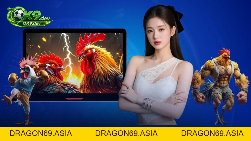 Chăm Sóc Gà Chọi Tại OK99: Những Lưu Ý Thiết Yếu Cần Biết - DRAGON69