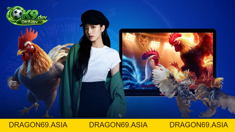 Cách Xem Vảy Gà Chọi Chuẩn Xác Nhất Cùng Chuyên Gia OK99 - DRAGON69