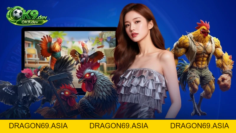 Cách Xem Vảy Gà Chọi Chuẩn Xác Nhất Cùng Chuyên Gia OK99 - DRAGON69