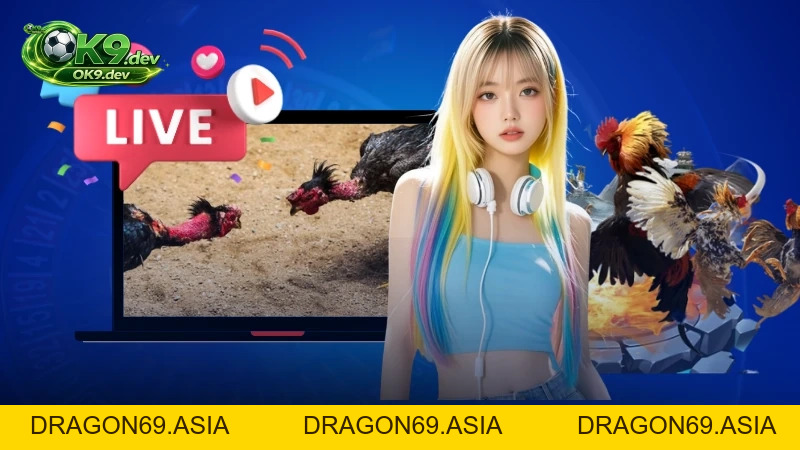 Đá Gà Cựa Sắt - Giải Đấu Cược Và Thưởng Giá Trị Lớn - DRAGON69