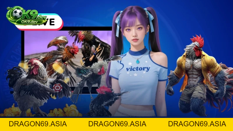 Màu Mạng Gà OK99: Bí Quyết Đọc Kèo Chuẩn Và Cược Thắng Lớn - DRAGON69
