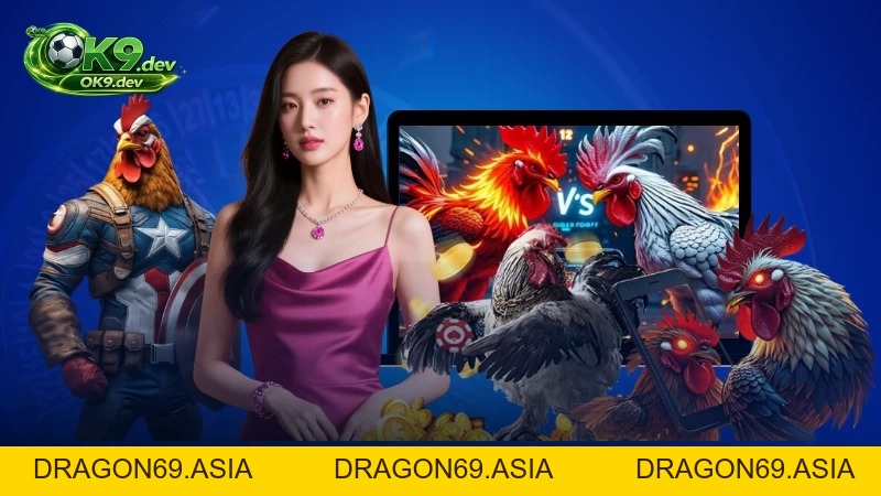 Top Giống Gà Đá Hay Và Kinh Nghiệm Cược Bền Vững Tại OK99 - DRAGON69