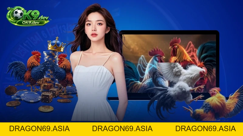 Đá Gà Campuchia Tại OK99: Luật Đấu Và Hình Thức Cược 2026 - DRAGON69