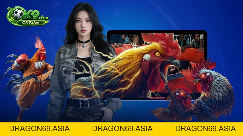 Cách Xem Vảy Gà Chọi Chuẩn Xác Nhất Cùng Chuyên Gia OK99 - DRAGON69