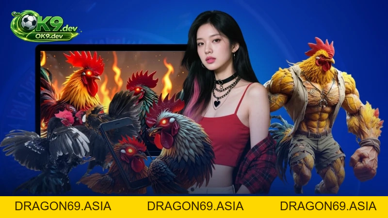 Màu Mạng Gà OK99: Bí Quyết Đọc Kèo Chuẩn Và Cược Thắng Lớn - DRAGON69